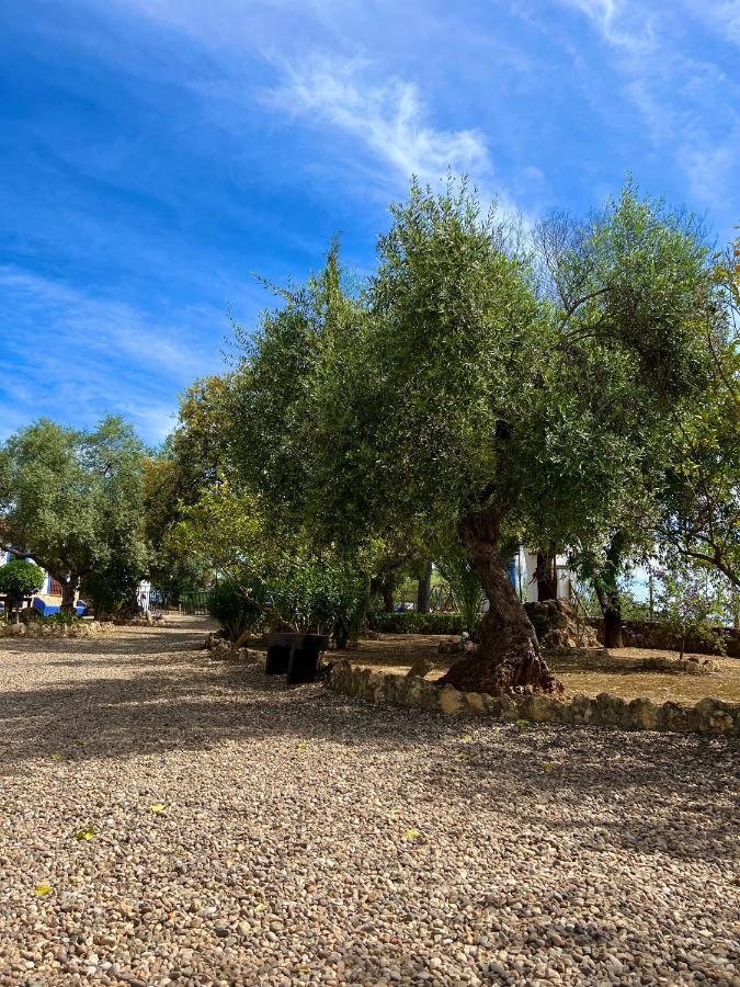 Complejo Rural Mirador De La Alcaidia Villa Hornachuelos Exteriör bild