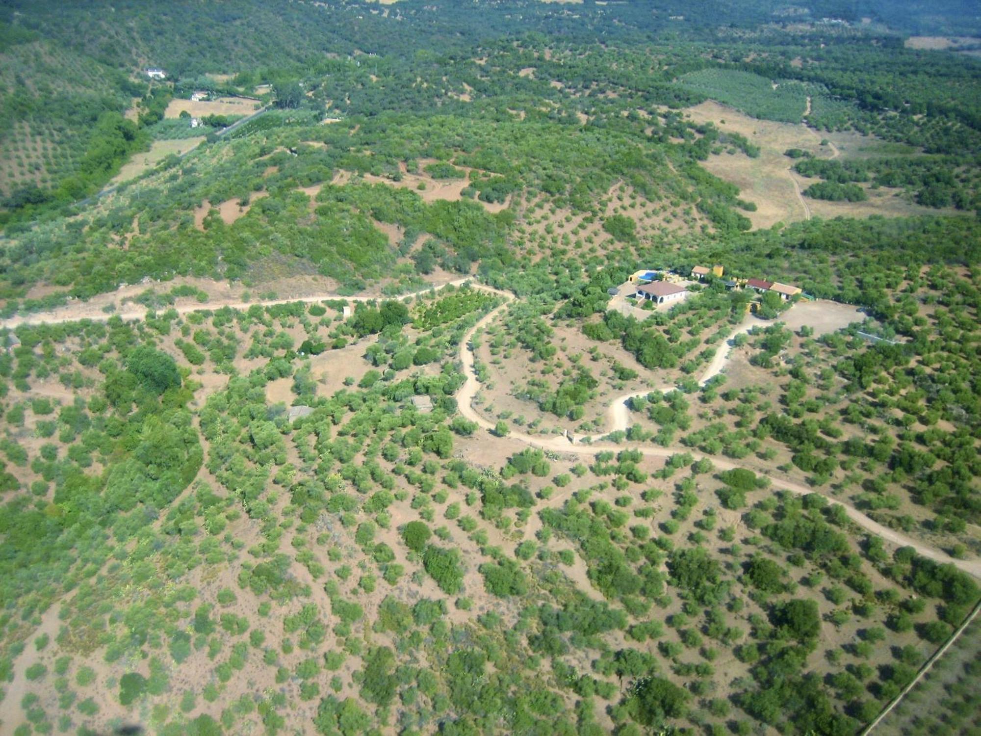 Complejo Rural Mirador De La Alcaidia Villa Hornachuelos Exteriör bild